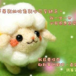 Meet your Posher, Han